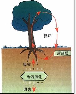 气候对土壤形成的影响 气候对土壤形成的作用