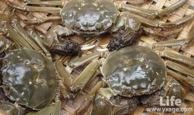 小螃蟹吃什么怎么养活 怎么养活螃蟹 养活螃蟹的方法
