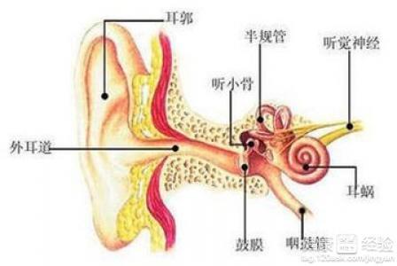 耳鸣是什么症状 耳鸣怎么形成的 耳鸣有什么症状
