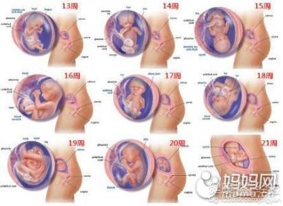 怎样知道胎儿发育良好 胎儿良好发育的方法