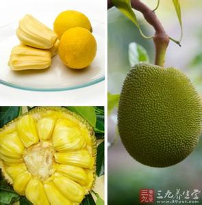 菠萝蜜的营养价值 菠萝蜜营养与做法