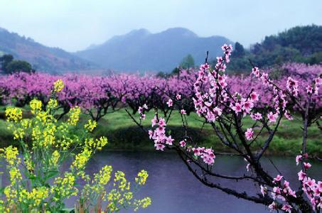 清明节踏青好去处 2014年清明节踏青好去处