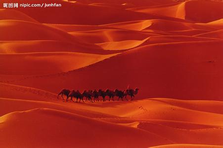 黑土形成的自然条件 红色荒漠形成的自然条件