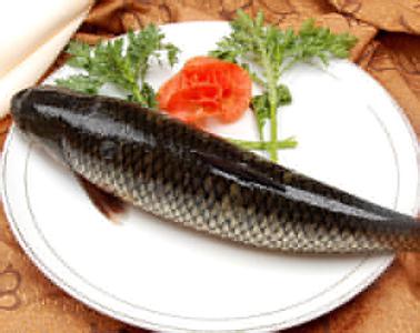 草鱼的营养价值及功效 草鱼的营养价值与做法
