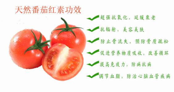 番茄红素功效与作用 番茄红素的功效与作用有哪些