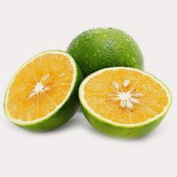 橙子的营养价值与功效 绿橙的营养价值