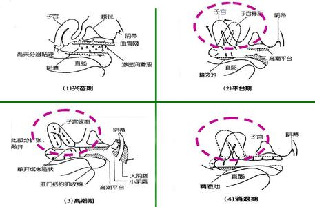 女人跳绳对子宫的好处 子宫对话的好处