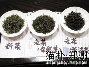 新茶和陈茶的区别 鉴别陈茶和新茶的方法是什么