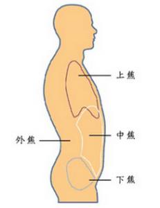 人体解剖图五脏六腑 人体强健五脏的简便方法
