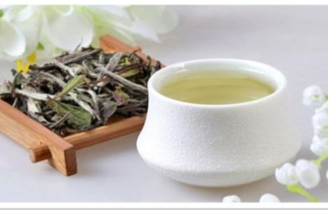 白茶的营养价值 白茶的功效与作用有哪些 白茶的营养价值