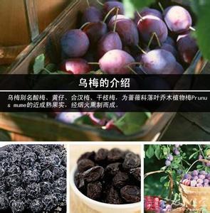 乌梅功效与作用及禁忌 乌梅有什么功效与作用 乌梅的食用禁忌