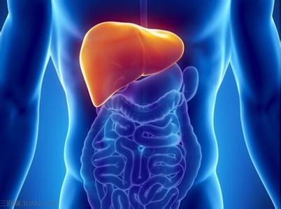 肝经排毒时间 人体最大排毒器官竟是它，7个锻炼肝经法(2)