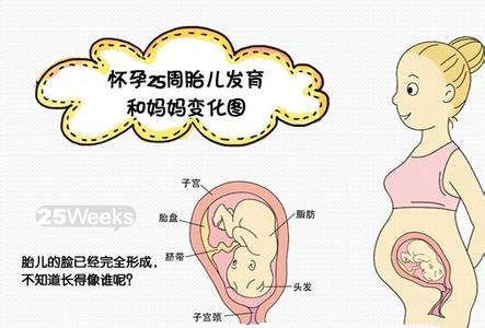 孕妇七个月吃什么饭 怀孕七个月吃什么好？
