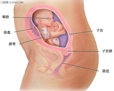 排卵同房后的细微变化 怀孕五个月时漂亮妈妈要注意身体细微变化