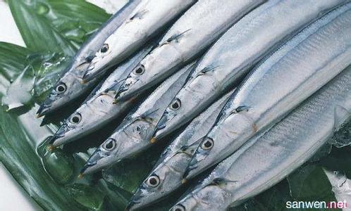 带鱼的营养价值及功效 带鱼怎么养 带鱼的营养价值