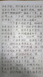 学雷锋做好事作文600 学雷锋作文600字