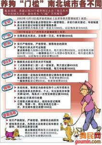 2017北京最新禁养犬 北京养犬管理规定