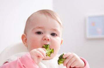 一岁半宝宝食谱大全 一岁的宝宝的食谱有哪些