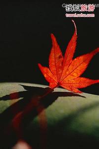 实用剪纸技法 秋季红叶摄影实用技法一览