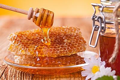 关于动物的有趣事实 关于蜂蜜的十个有趣事实