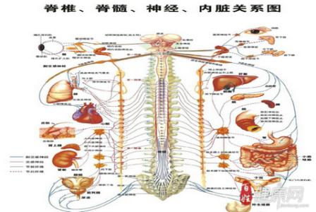 腰椎病的形成原因 腰椎病形成的原因_腰椎病是怎么形成