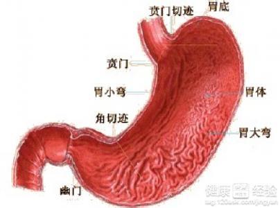 糜烂性胃炎饮食 糜烂性胃炎吃什么比较好 糜烂性胃炎的饮食原则