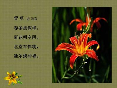 中国的父亲花是什么 中国的母亲花是什么