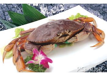 珍宝蟹营养价值 珍宝蟹怎么养 珍宝蟹的营养价值
