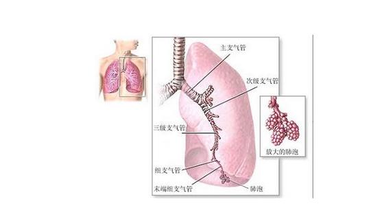 肺癌是怎样形成的 肺癌是怎样形成的_肺癌的治疗