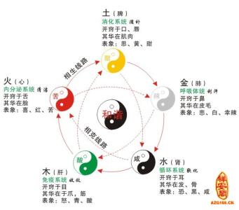 中医五脏与五行的关系 中医五行五脏的关系