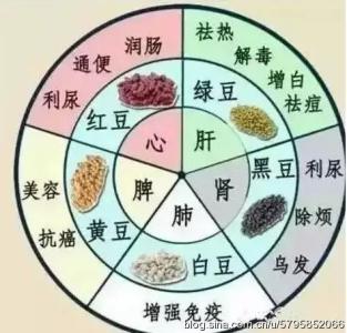 五色食物养五脏 五脏怎么养_最养五脏的食物