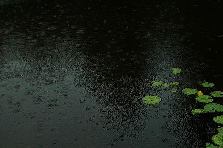 煤矿之路by夜雨莹心1 夜雨潮湿了我的心