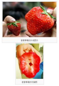 如何辨别草莓是否打药 如何辨别“激素草莓”