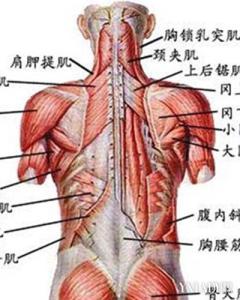 调整状态 告诉你怎样可以调整人体第三状态的方法