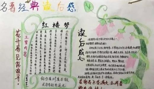 小学生水浒传读后感 小学生红楼梦读后感