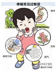 过敏性哮喘预防与治疗 哮喘是怎么形成的 哮喘的预防和治疗(2)