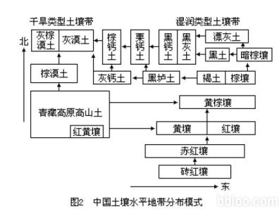 气候对土壤形成的影响 气候对土壤形成的影响因素