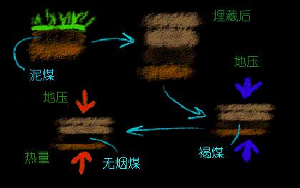 石油是怎么形成的 煤是怎么形成的