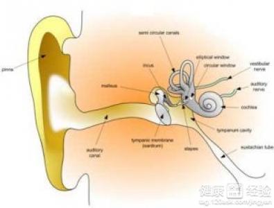 治疗痤疮形成疤痕 耳聋是怎么形成的 怎么治疗耳聋