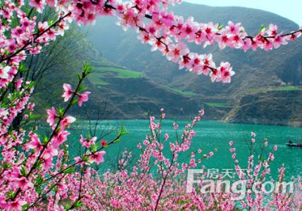 旺桃花运的风水布局 桃花运风水知识