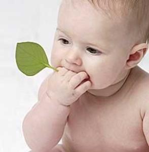 口臭看出身体内部疾病 宝宝有口臭可能是疾病征兆