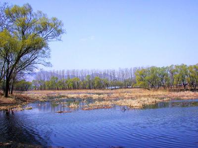 鸣翠湖生态旅游区 北京翠湖水乡旅游区