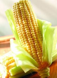 吃玉米的好处和坏处 夏季吃玉米的好处有哪些