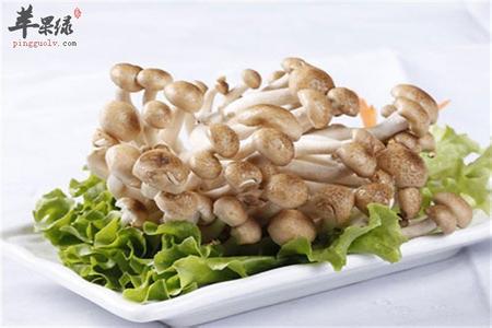 蟹味菇的营养价值 蟹味菇的营养价值_吃蟹味菇的好处