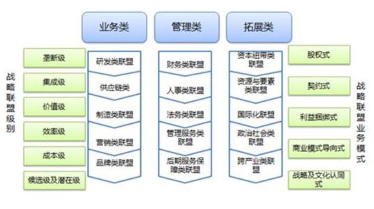 企业家战略 企业家的十一大管理战略