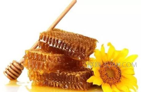 蜂蜜相克的食物 有关蜂蜜的食物知识