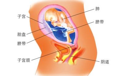 孕晚期胎儿体重增长 孕期体重与胎儿有哪些关系
