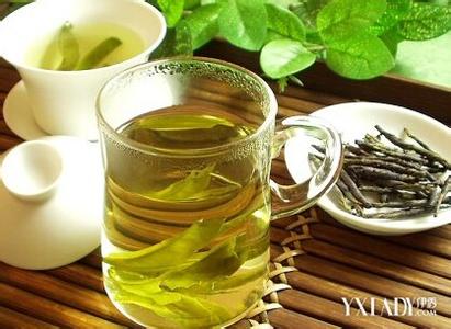 苦丁茶的功效与禁忌 苦丁茶的功效与作用及禁忌 苦丁茶的食用方法