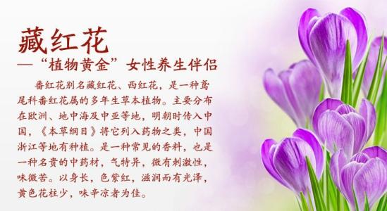 藏红花的功效与吃法 藏红花的功效及吃法介绍