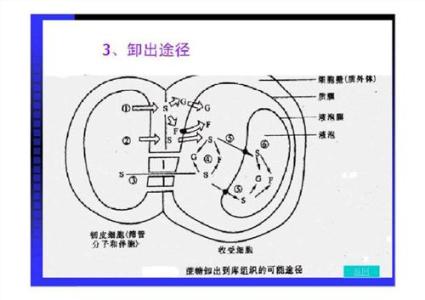 中国生物医学工程学会 高中生物必须学会的十项经典理论